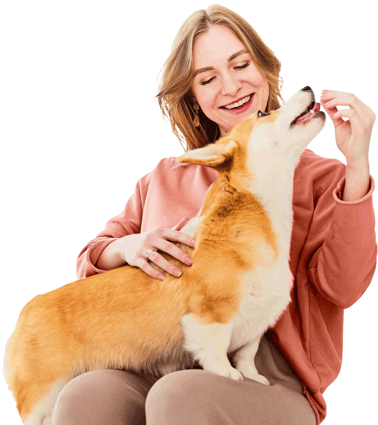 Qualy Vet Clínica Veterinária